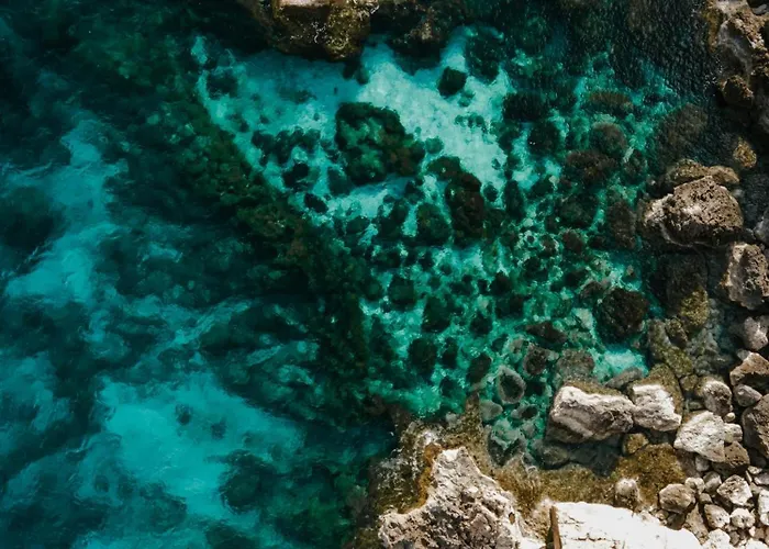 Apartment Spacious 2Br Garden Apt In Gated Complex Near Beach *